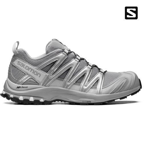 Tenis Salomon Xa Pro 3d Hombre Plateados | MX RUDK596